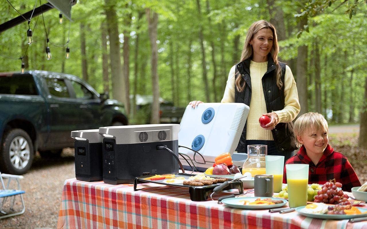 EcoFlow Delta Max 2000 B-Ware